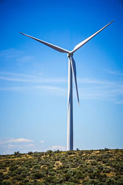 Wind turbines generating electricity on a windy sunny day — Stock Photo, Image