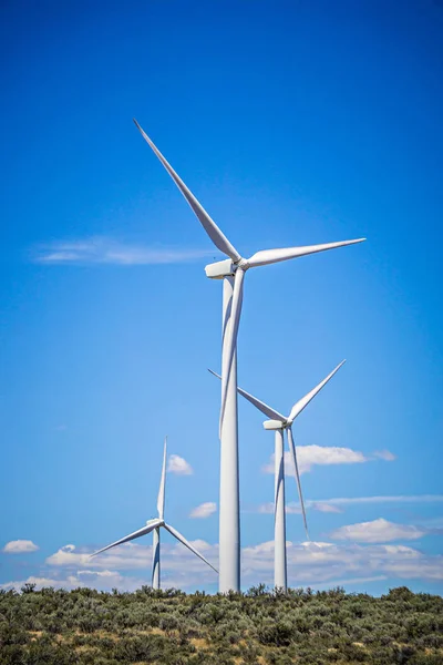 Wind turbines generating electricity on a windy sunny day — Stock Photo, Image