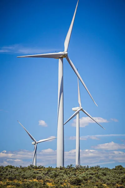 Wind turbines generating electricity on a windy sunny day — Stock Photo, Image