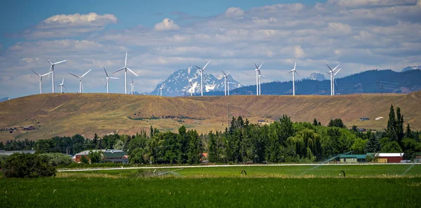 Wind turbine farm with wenatchee mountains in the background — Stock Photo, Image