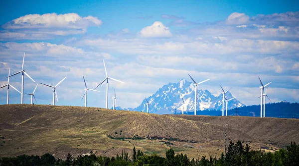 Wind turbine farm with wenatchee mountains in the background — Stock Photo, Image