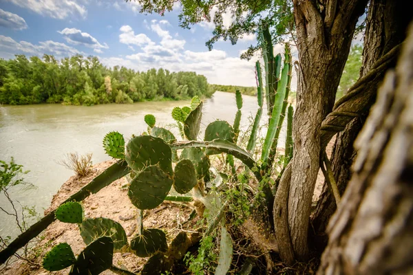 Rio grande texas usa frontera mexicana — Foto de Stock