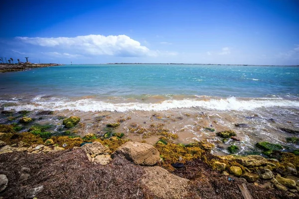 Coastal landscape near padre island texas — Stock Photo, Image