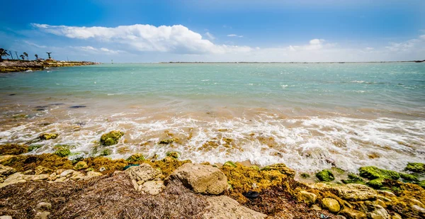 Coastal landscape near padre island texas — Stock Photo, Image