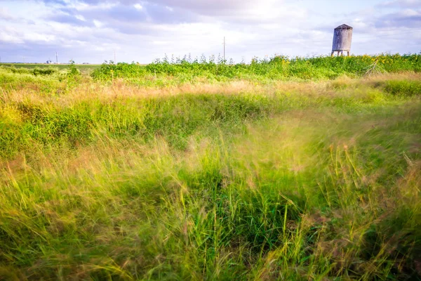 Spring farm fields with sunset and clouds in texas — Stock Photo, Image