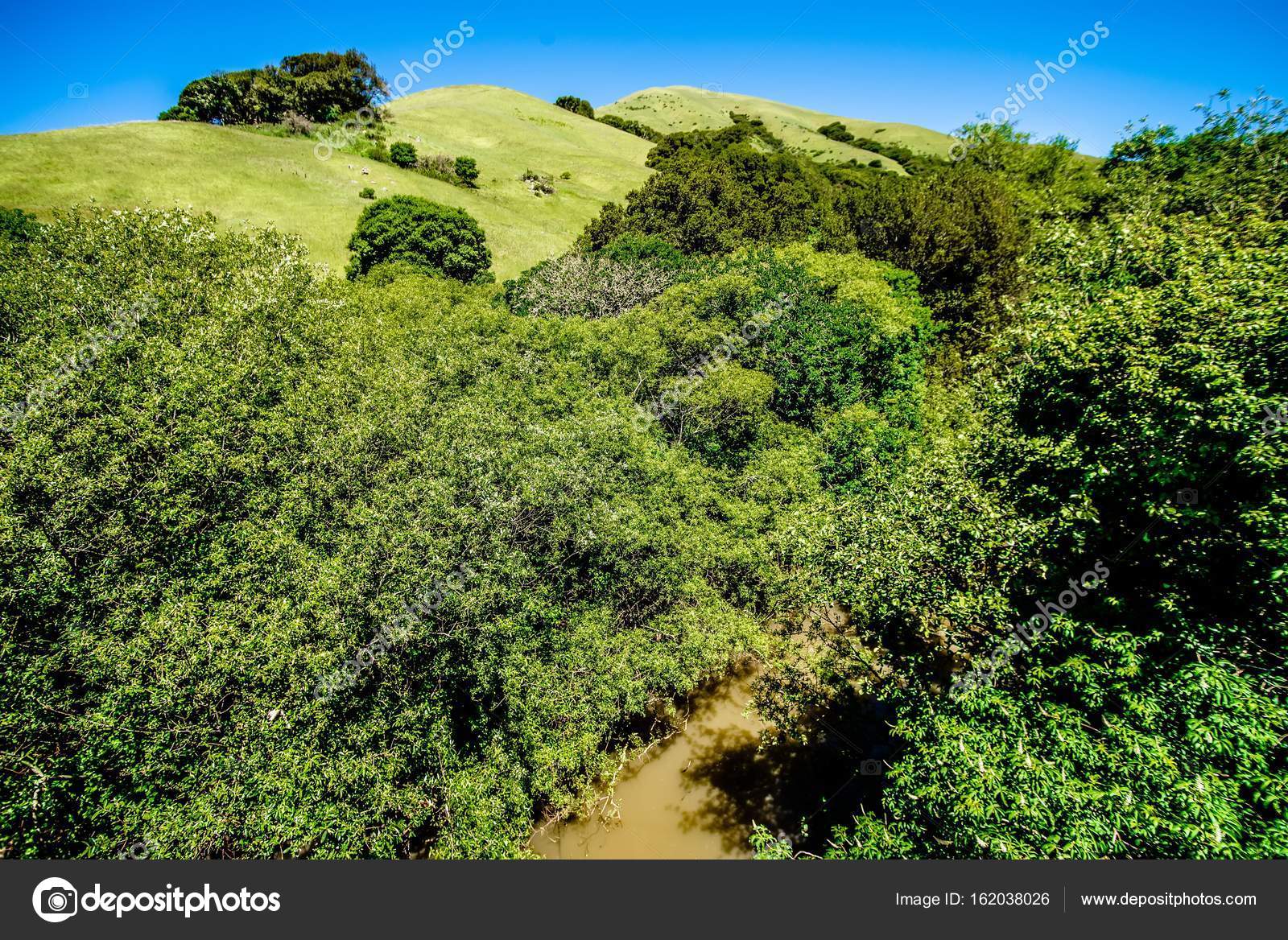 Green california hills and mountains in spring — Stock Photo
