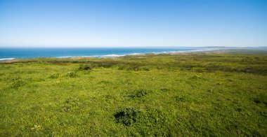 Point reyes California Milli seashore manzaralar