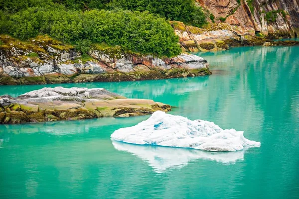 Icebergs do Glaciar Sawyer Norte no Braço Tracy em Alask — Fotografia de Stock