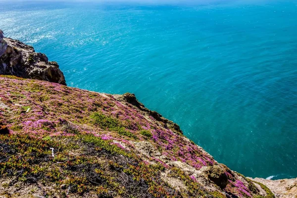 Punto reyes paisajes marinos nacionales en california — Foto de Stock