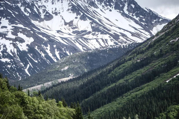 Dağ aralığı Inn İngiliz Kolombiyalı Alaska Rockies — Stok fotoğraf