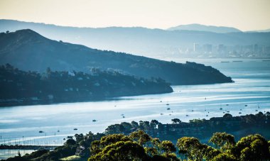 Kaliforniya 'da Pasifik Okyanusu kıyısında Muir Plajı