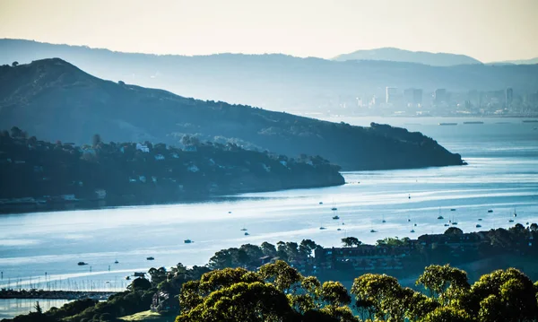 Kaliforniya 'da Pasifik Okyanusu kıyısında Muir Plajı