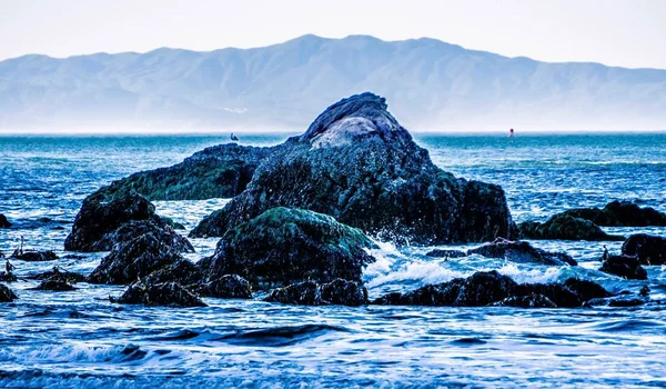 Muir beach on pacific ocean coast in california — Stock Photo, Image