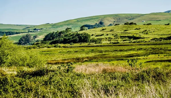 Point reyes Milli seashore Pasifik Okyanusu kıyısında