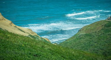 Point reyes Milli seashore Pasifik Okyanusu kıyısında
