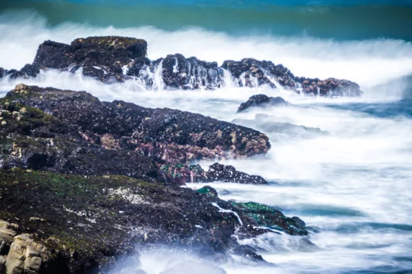 Kust schermen bij usa Pacifische kust — Stockfoto