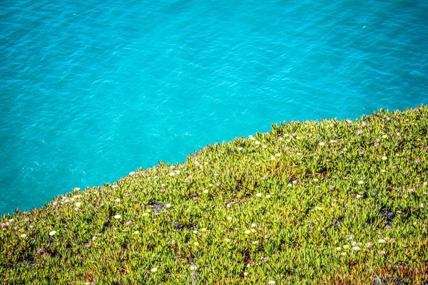 Punto reyes paisajes marinos nacionales en california — Foto de Stock