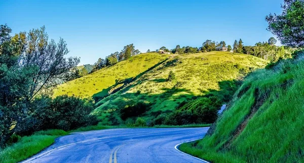 ミュアウッズの森林ドライブ、サンフランシスコ近郊の自然 — ストック写真
