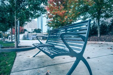 ağaçlar ve banklar ile şehir şehir parkı