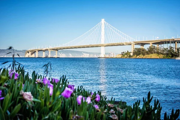 Puerto deportivo cerca de nuevo puente de la bahía de roakland que conduce a calif de roakland —  Fotos de Stock