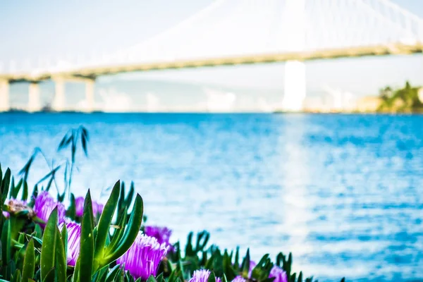 Przystań w pobliżu nowe oakland bay bridge, prowadzące do oakland calif — Zdjęcie stockowe