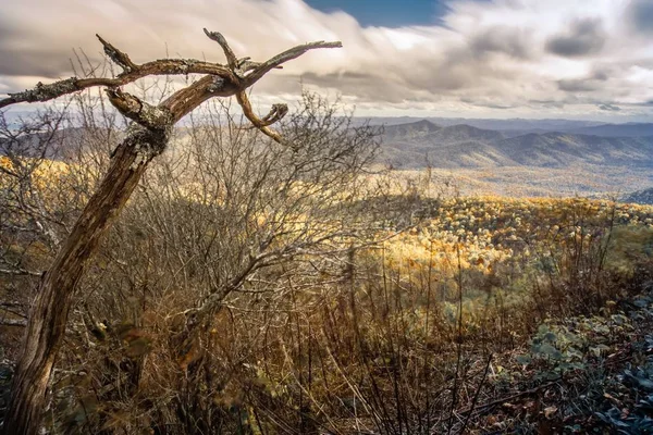 Mooie herfst landschap in Noord-carolina bergen — Stockfoto