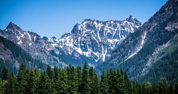 Paisagem natureza cenas em torno de columbia rio washington estado a — Fotografia de Stock