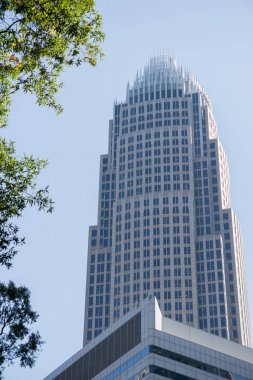 Charlotte North carolina cityscape sonbahar mevsiminde
