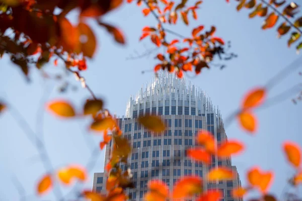 Charlotte North carolina stadsbilden under höstsäsongen — Stockfoto