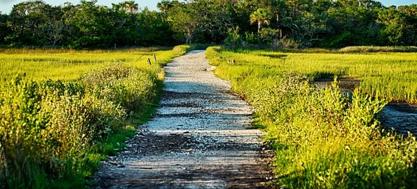 Scener på botany bay plantation nära charleston south carolina — Stockfoto