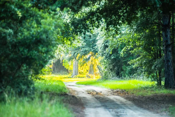 scenes at botany bay plantation near charleston south carolina