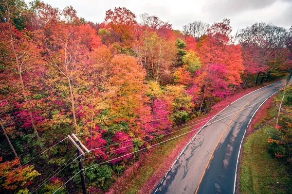 Stagione autunnale e cambiamento di colore stagione foglie — Foto Stock