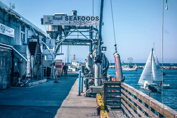 サンタ クルス カリフォルニア ビーチと春の海岸線 — ストック写真