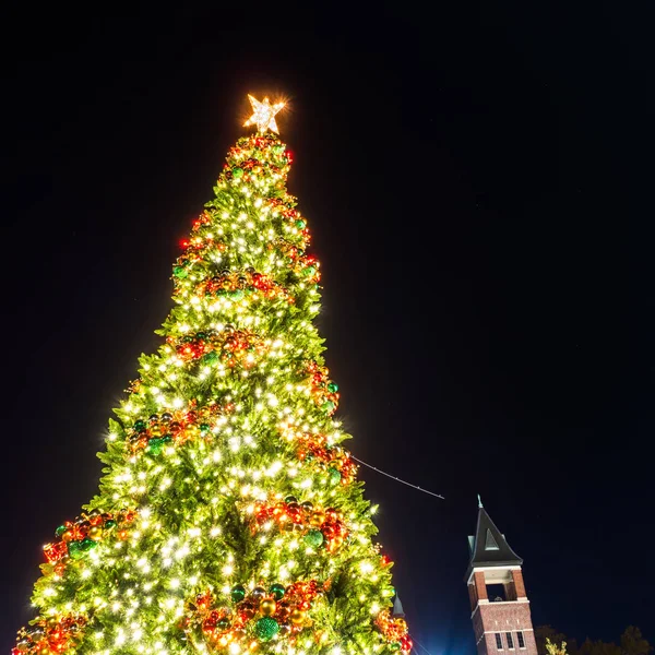 Christmas Time Säsong Rock Hill South Carolina — Stockfoto