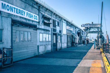 Santa cruz california plaj ve kıyı şeridi bahar