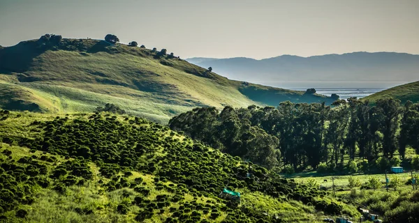 Paisagem Torno Baía Monterey Califórnia Primavera — Fotografia de Stock