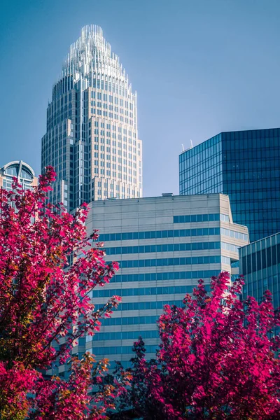 Época Aututmn Charlotte Carolina Norte — Fotografia de Stock