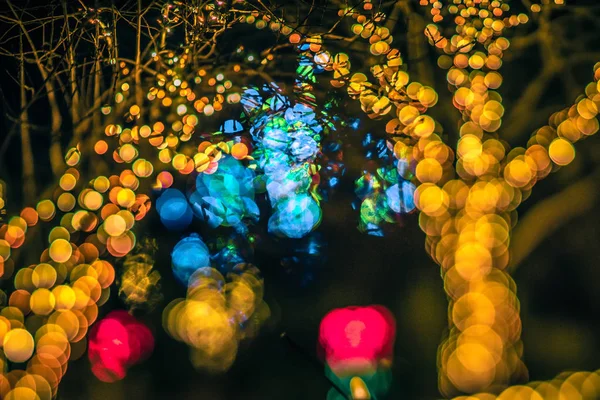 Christmas Light Bokeh Daniel Stowe Gardens Belmont North Carolina — Stock Photo, Image