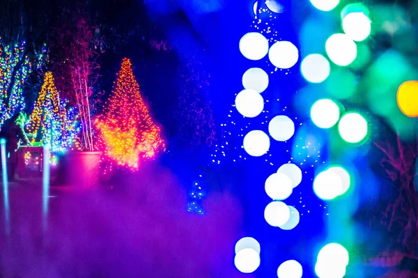 Karácsonyi szezon díszek és a fények a kertben — Stock Fotó