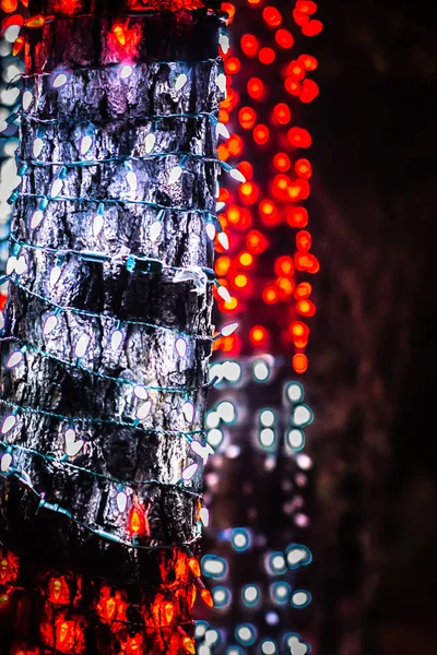 Décorations de Noël et lumières dans les jardins — Photo