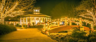 Işıklar, Noel, ışık, yılbaşı ağacı, yeşil, renk, kırmızı, Blu