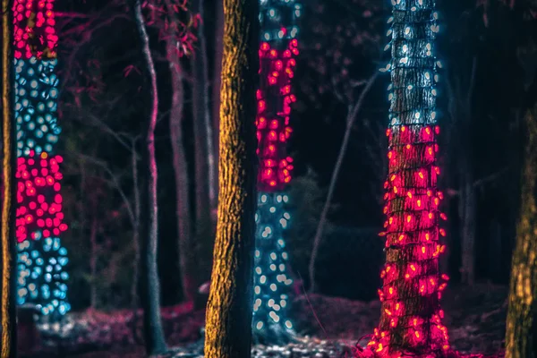 Weihnachtsdekoration und Lichter in Gärten — Stockfoto