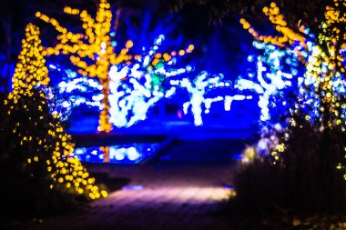 Noel sezon süsleme ve bahçeleri de ışıklar