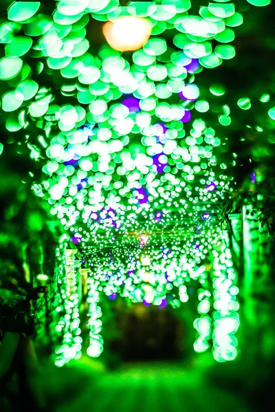 Noël lumière bokeh à daniel stowe jardins belmont nord caro — Photo