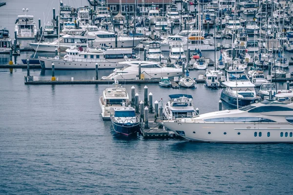 Barcos privados y yates están amarrados en el puerto de Elliott Bay — Foto de Stock