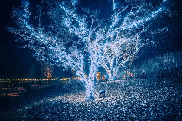 Decoraciones de la temporada de navidad después del atardecer en los jardines — Foto de Stock