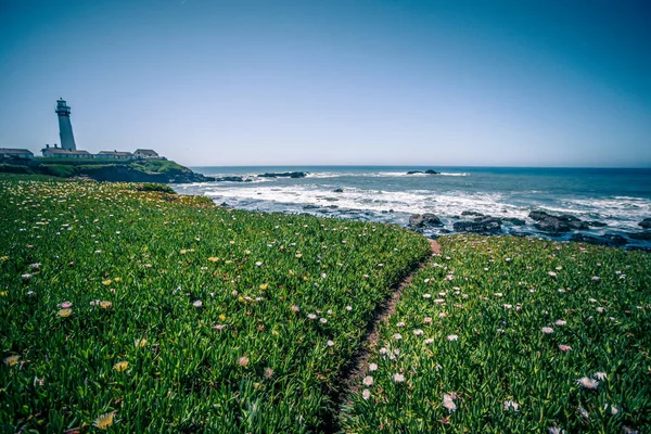 鸽子点灯塔和风景在太平洋海岸 — 图库照片