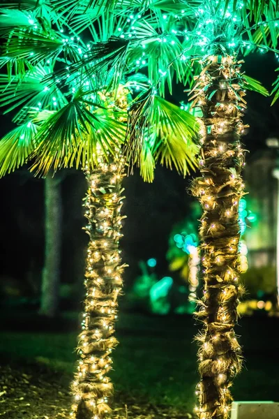 Palmeras decoradas con luces navideñas en jardines —  Fotos de Stock