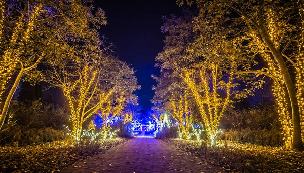 Natal temporada decorações após o pôr do sol nos jardins — Fotografia de Stock