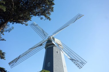 Golden Gate Park Windmill yakınındaki san francisco Kaliforniya